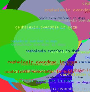 Cephalexin Overdose In Dogs